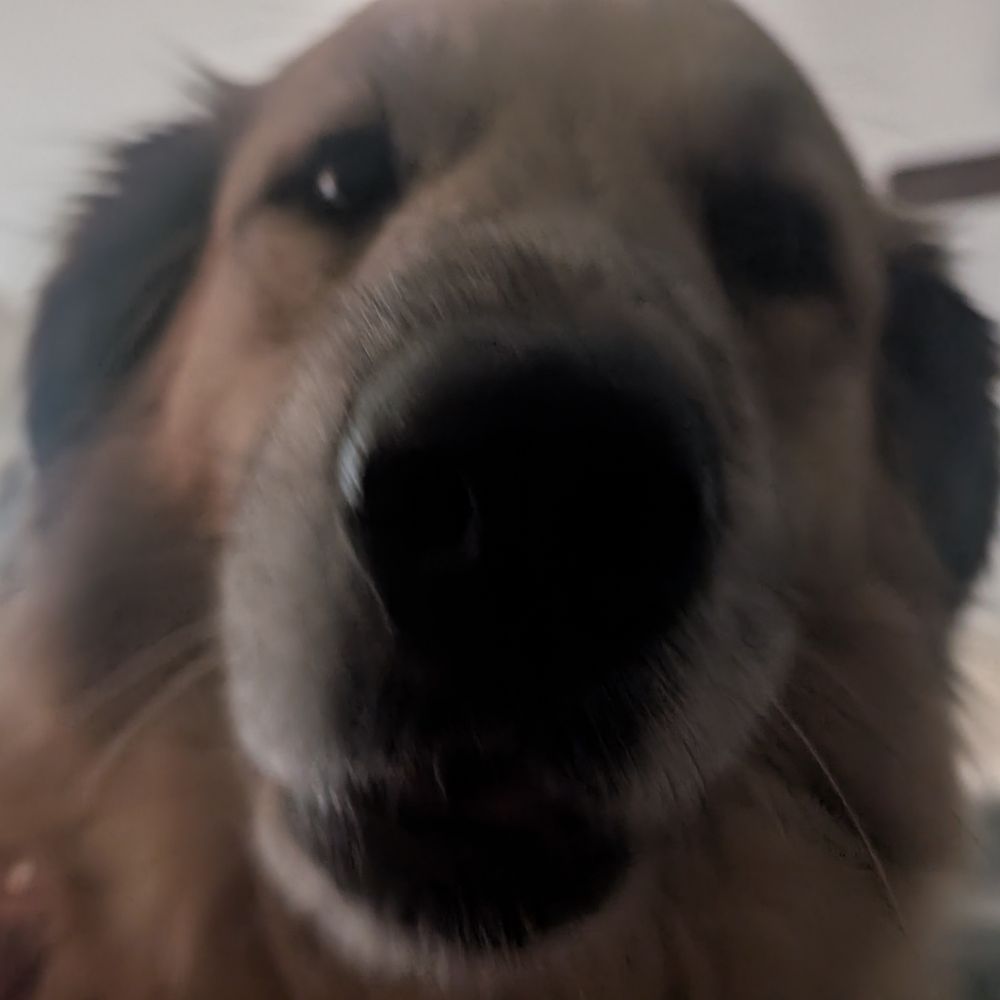 stevedayallday.bsky.social profile picture