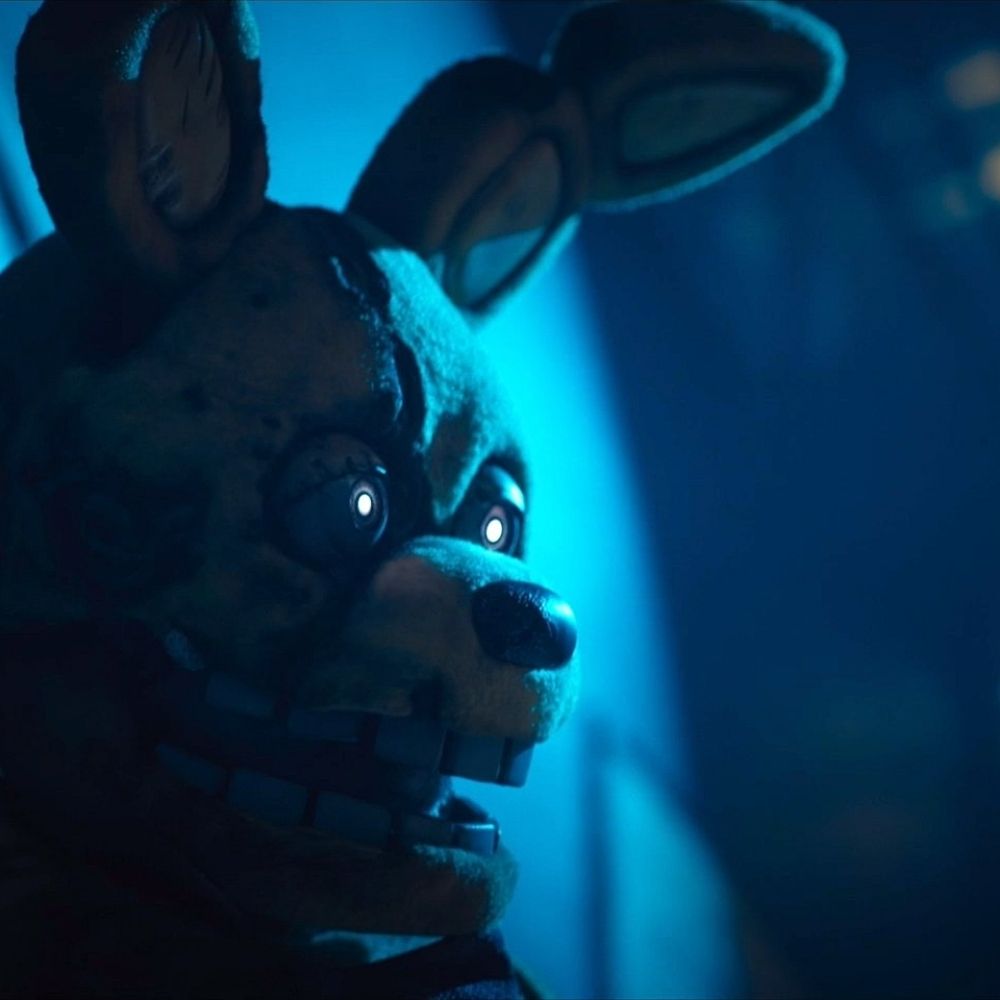 🌌CarnivalCabbit🌌
