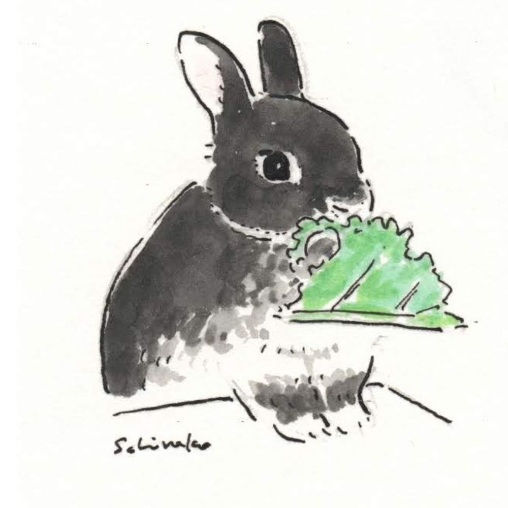 popococo🐰(ぽぽここ)