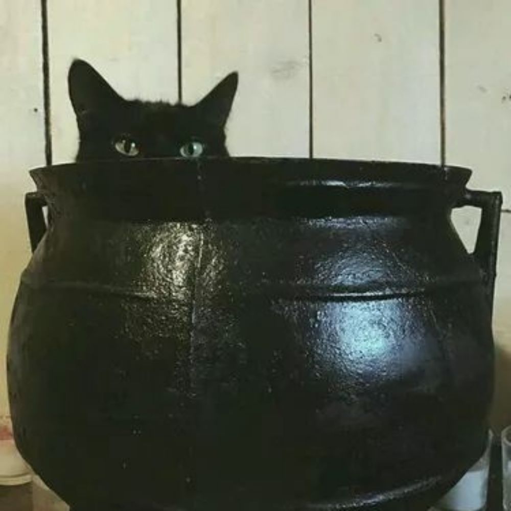 (рест) Регулус Блэк