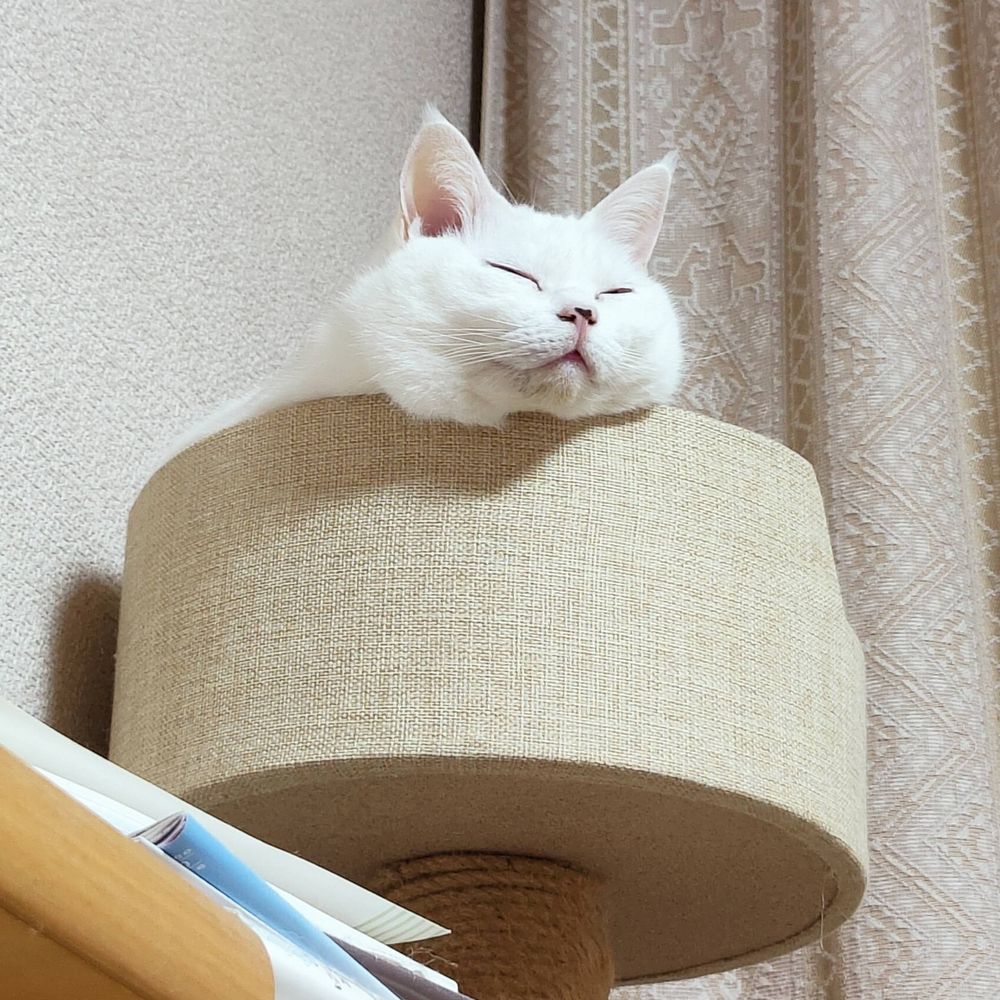 むるむる