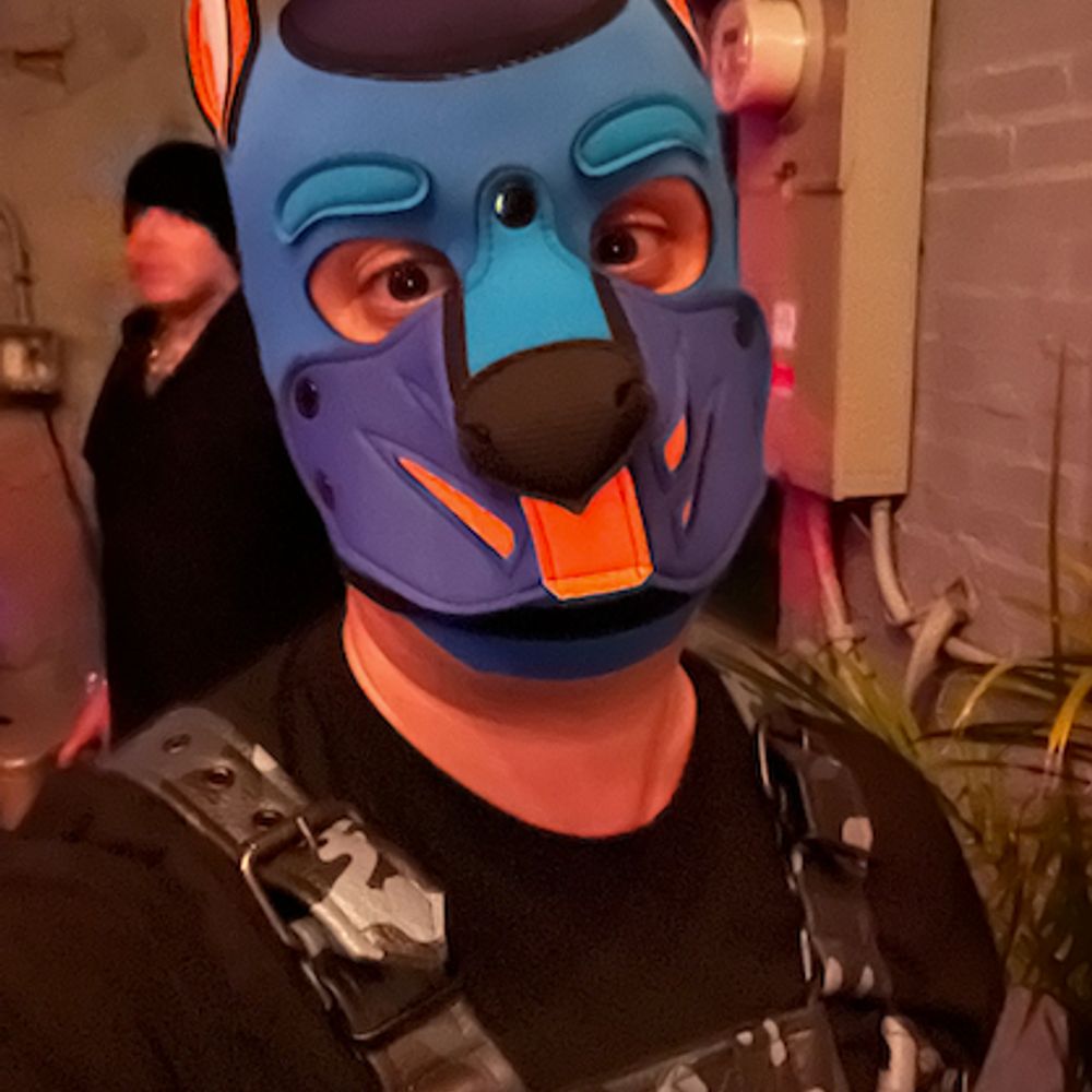 Pup Nox