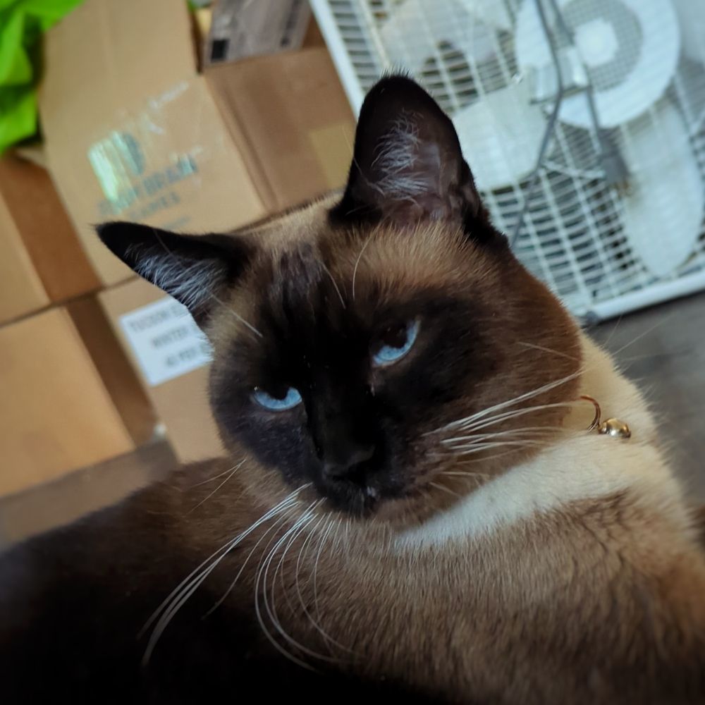 User avatar
