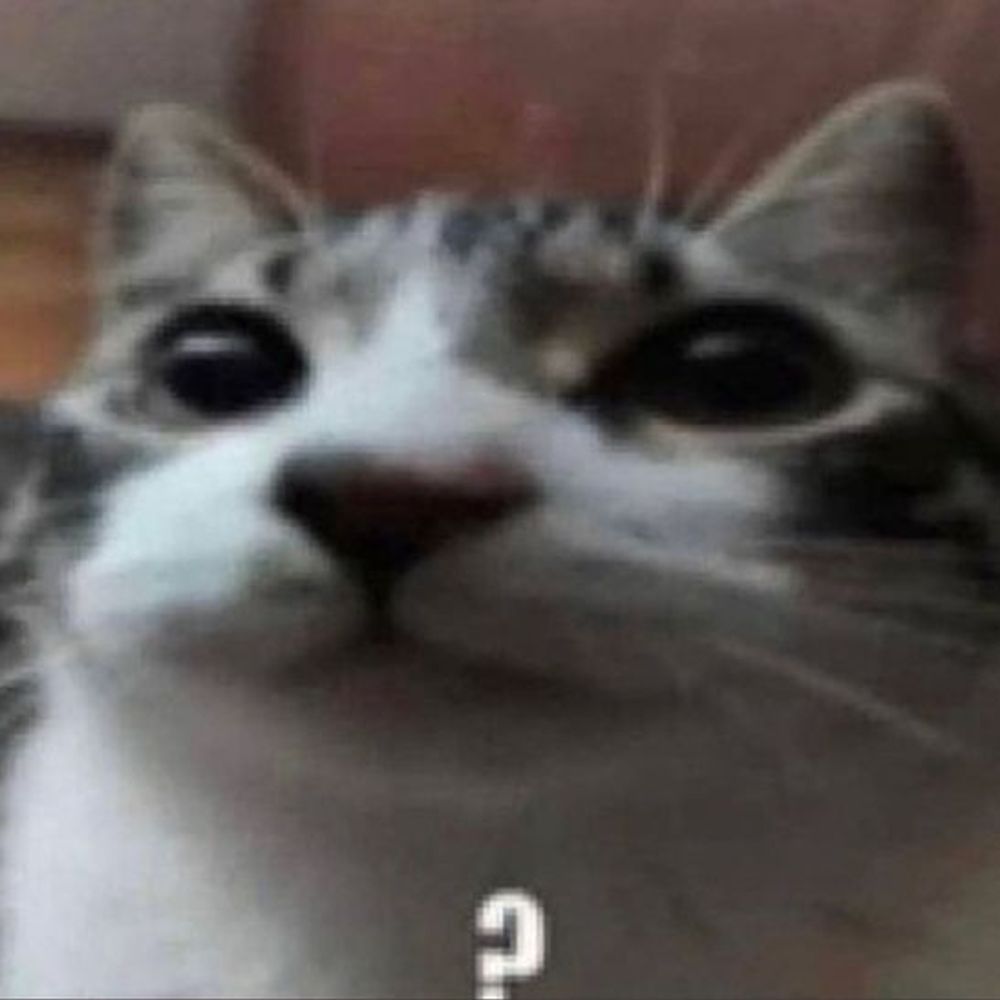 MalditoJapa