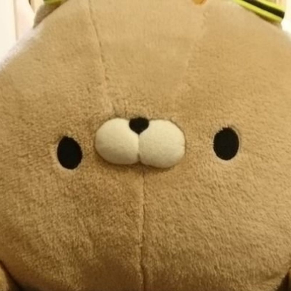 tanukey