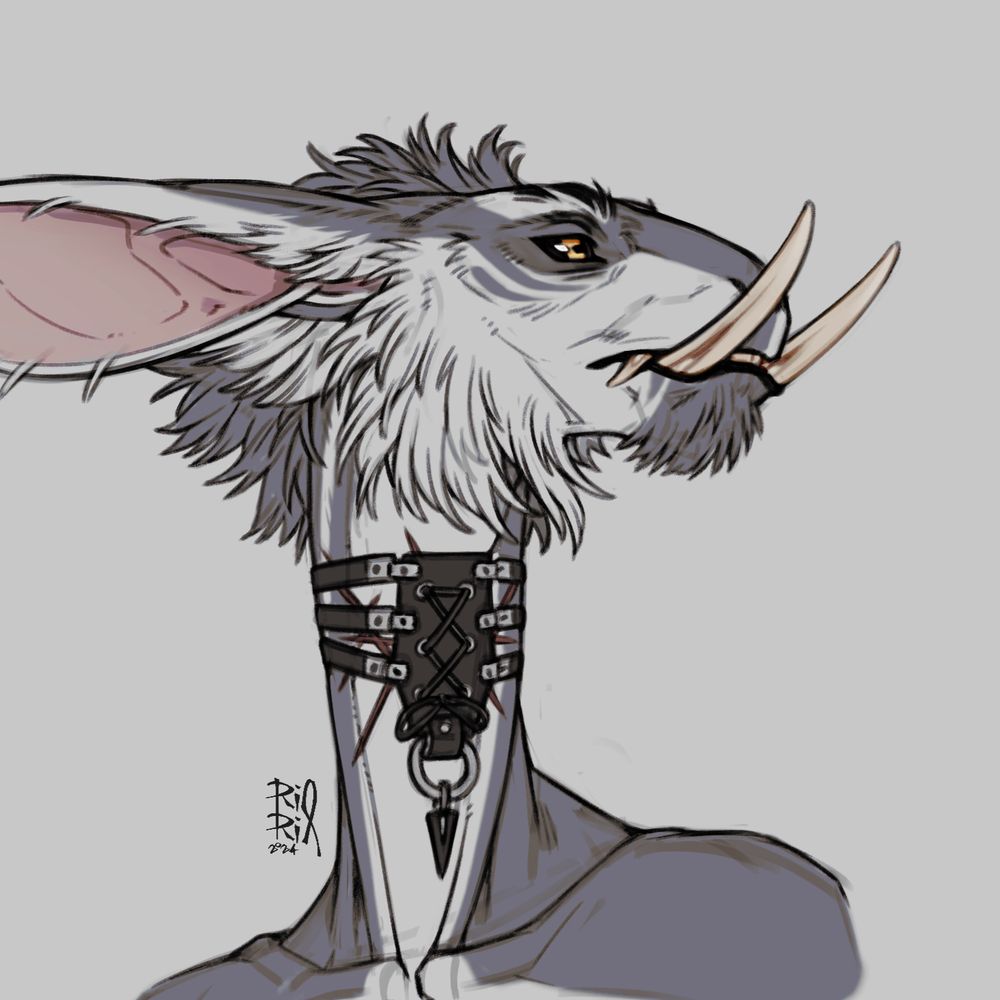 RioRix