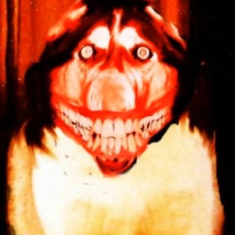 𝐖𝐡𝐚𝐭𝐃𝐢𝐝𝐮𝐓𝐡𝐫𝐨𝐰𝐓𝐡𝐢𝐬𝐓𝐢𝐦𝐞