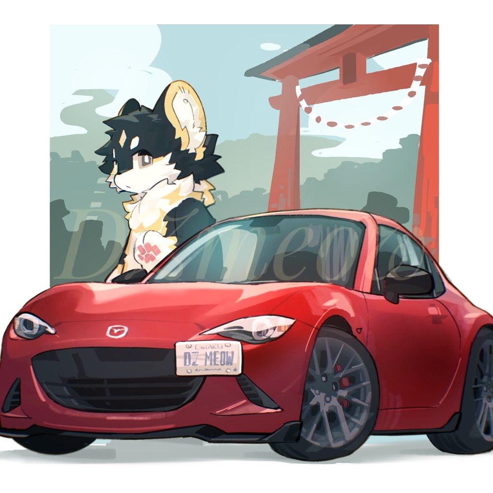 豆子_DZmeow