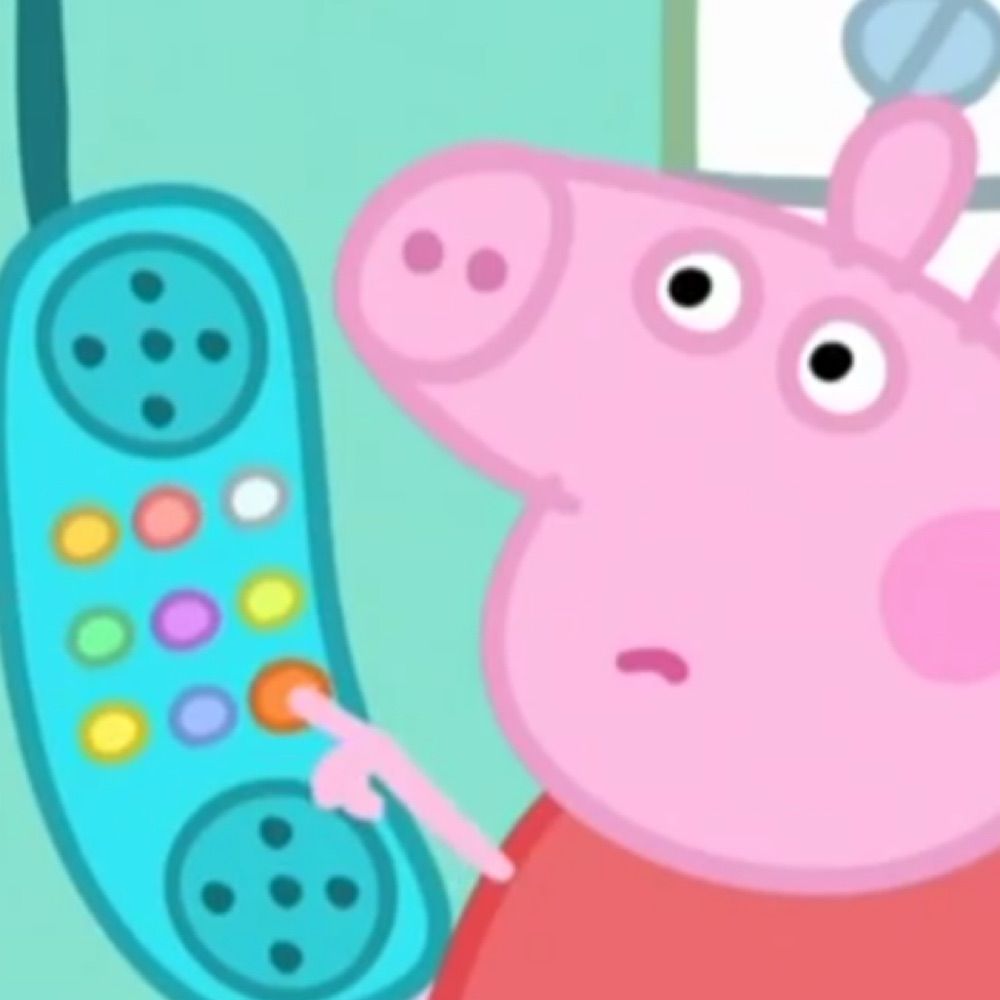 teddy / peppermint pig