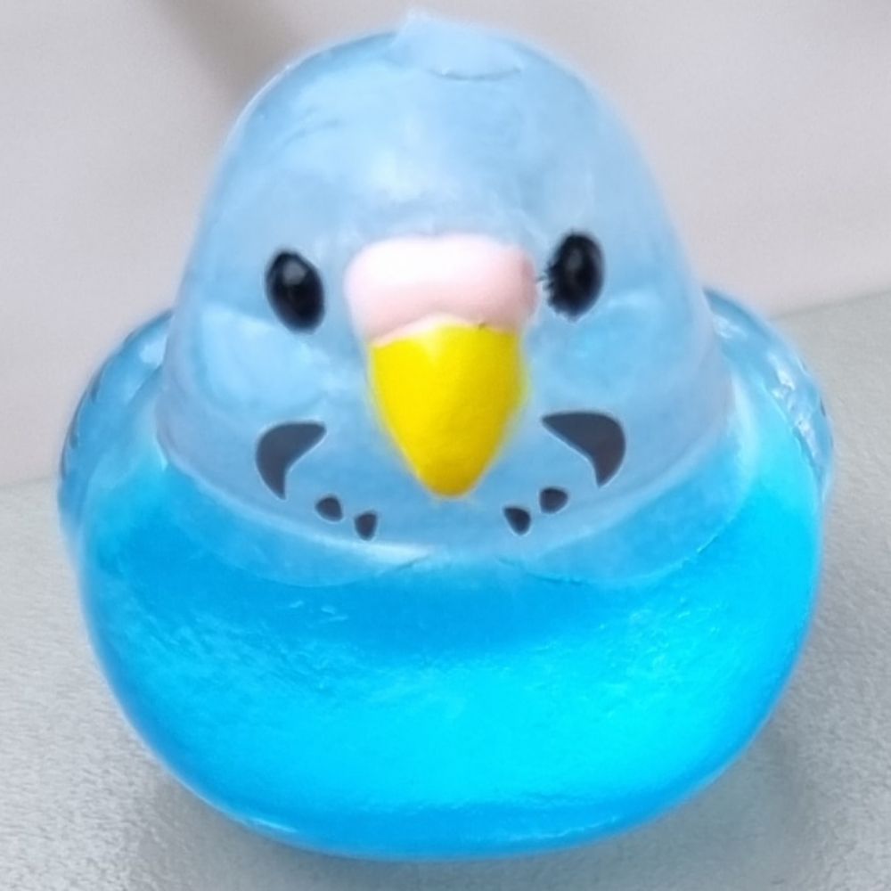 앨리스 로버츠🕯