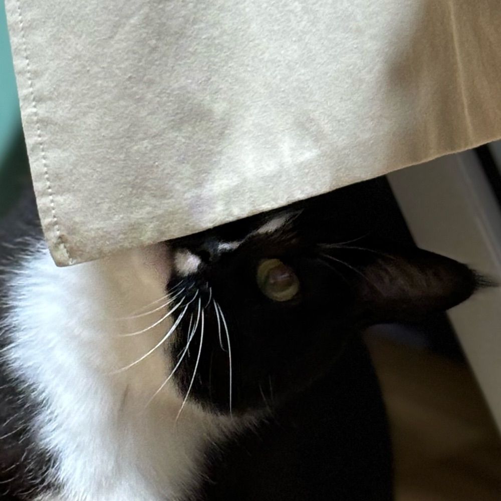 Fran