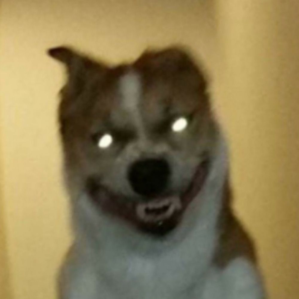 Dan