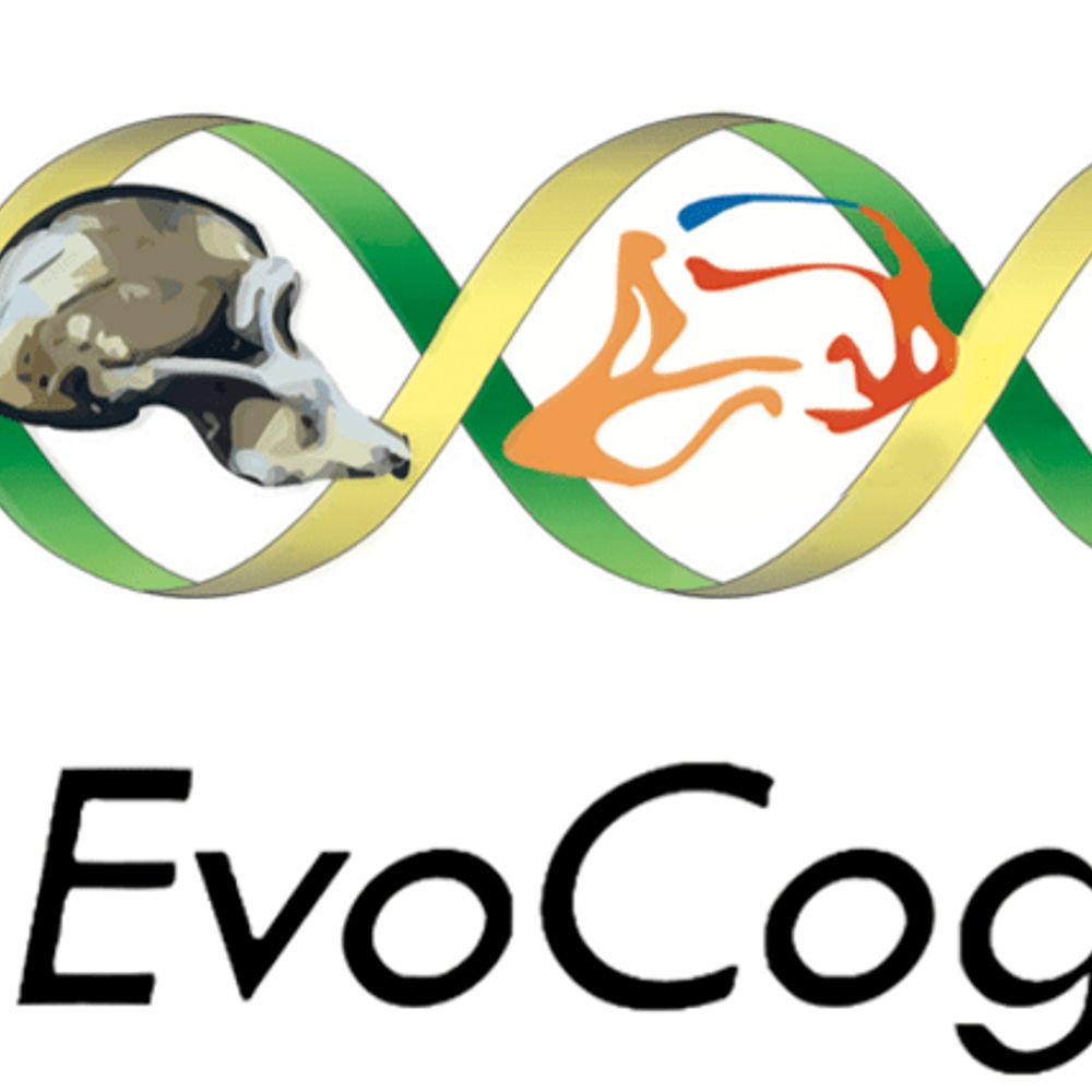 EvoCog