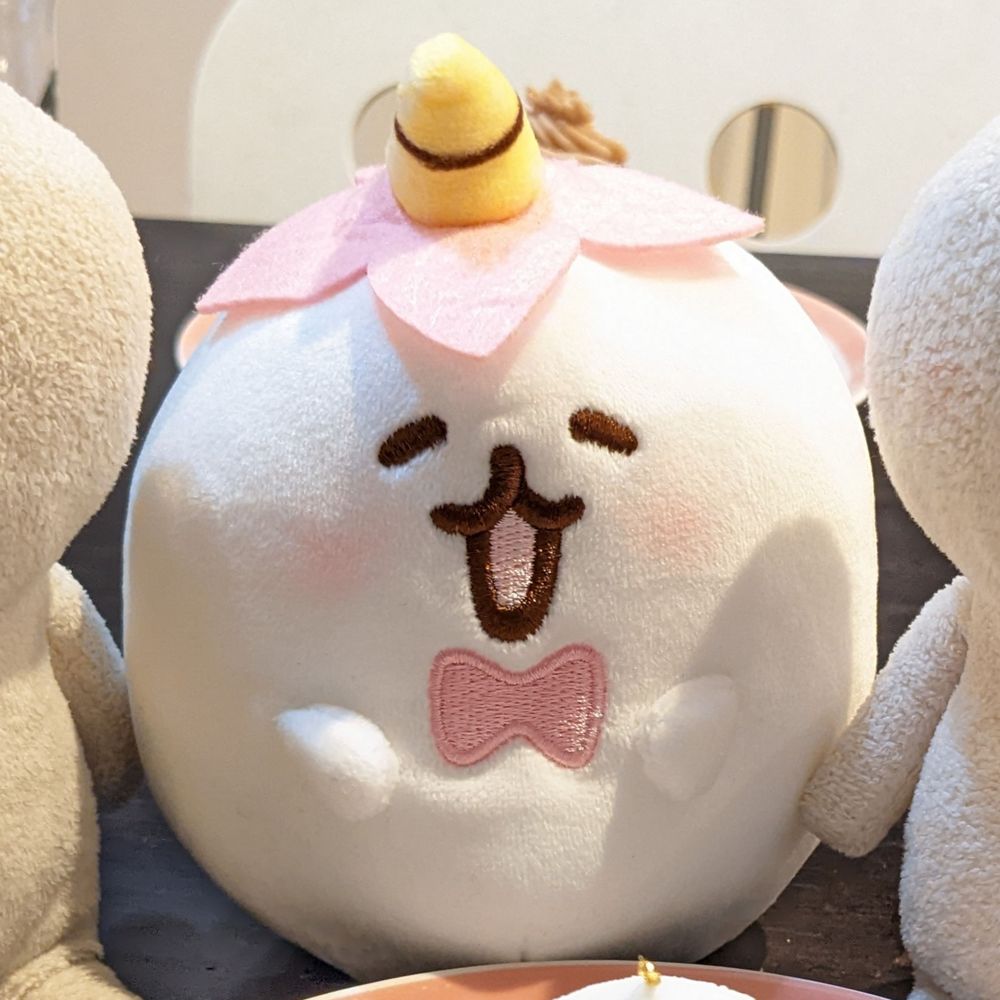 ひか