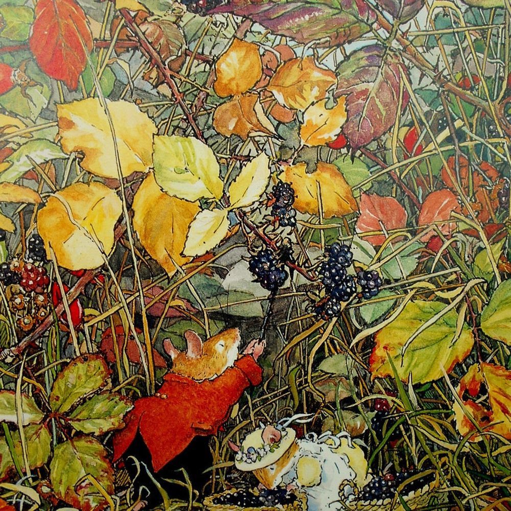 Evan Leduc