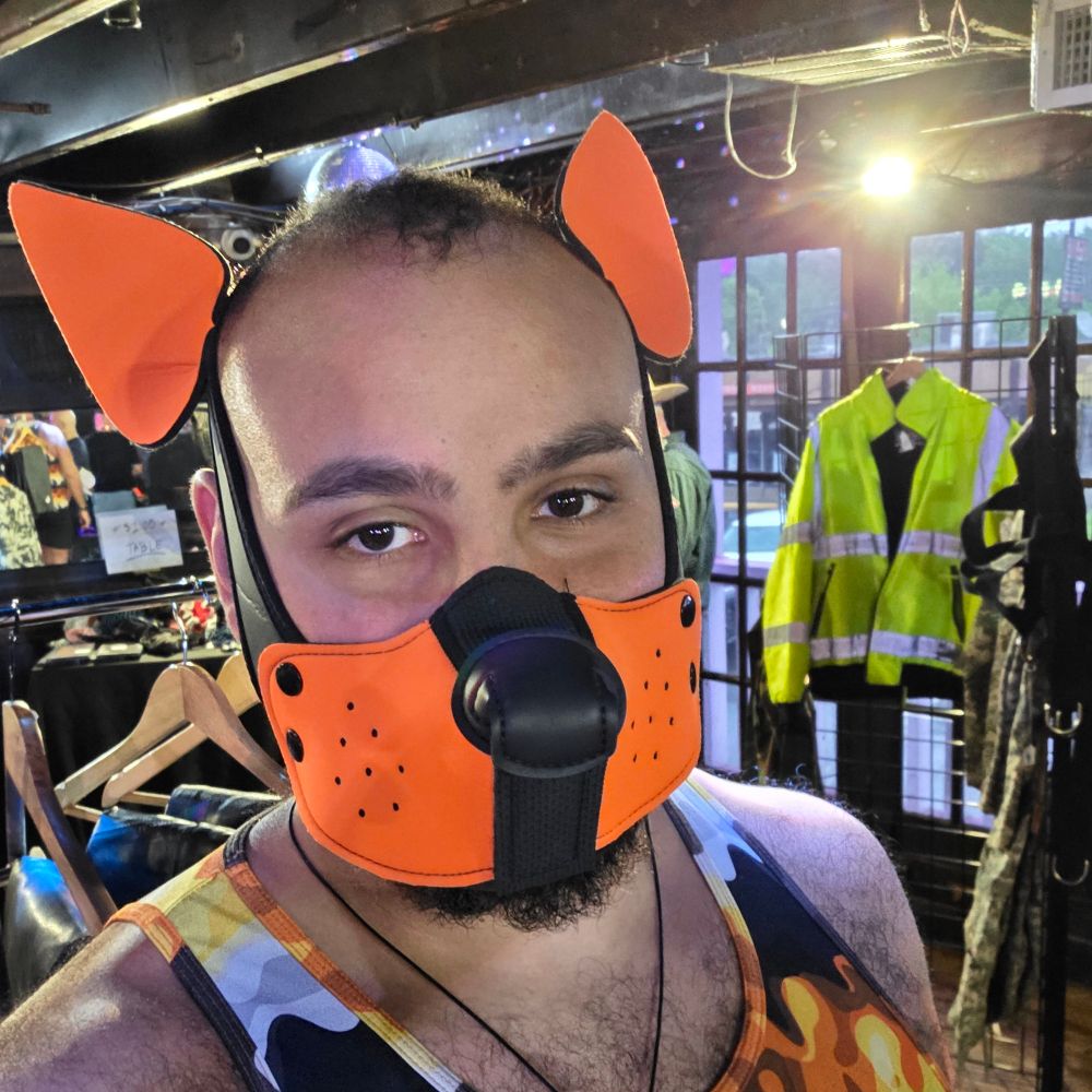 PuppyBearMaximus