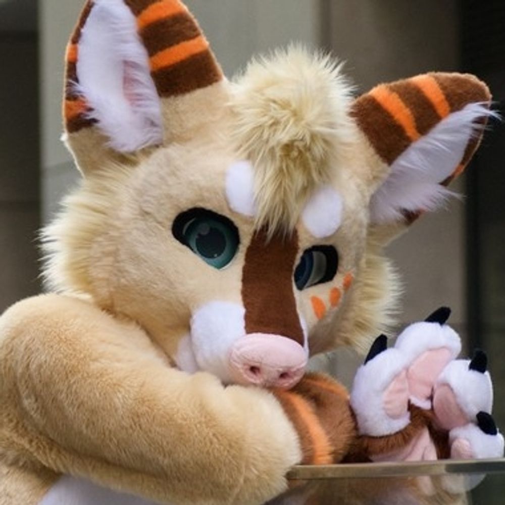 CooperCorg 🔜 EUROFURENCE!!!