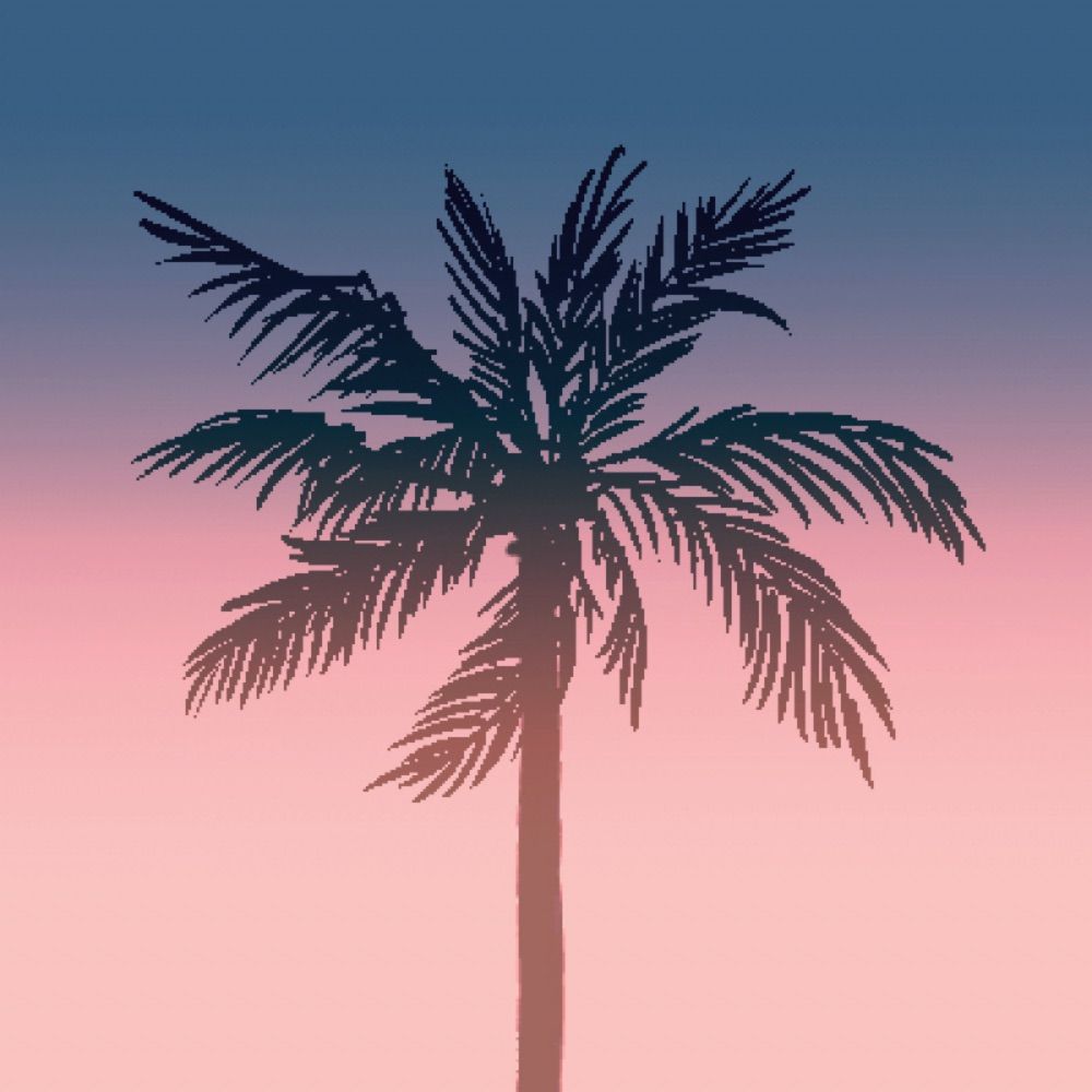 🌴CSNV🌴