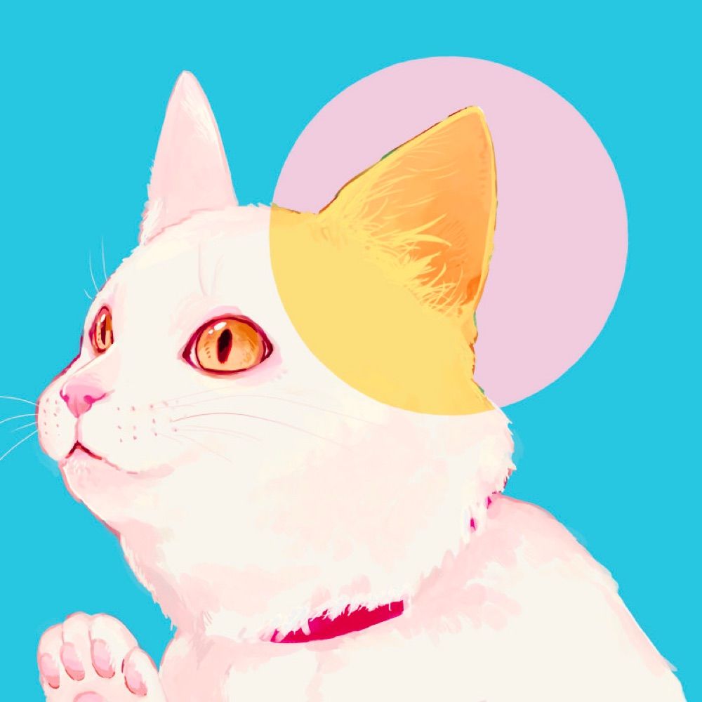 cofu/こふ