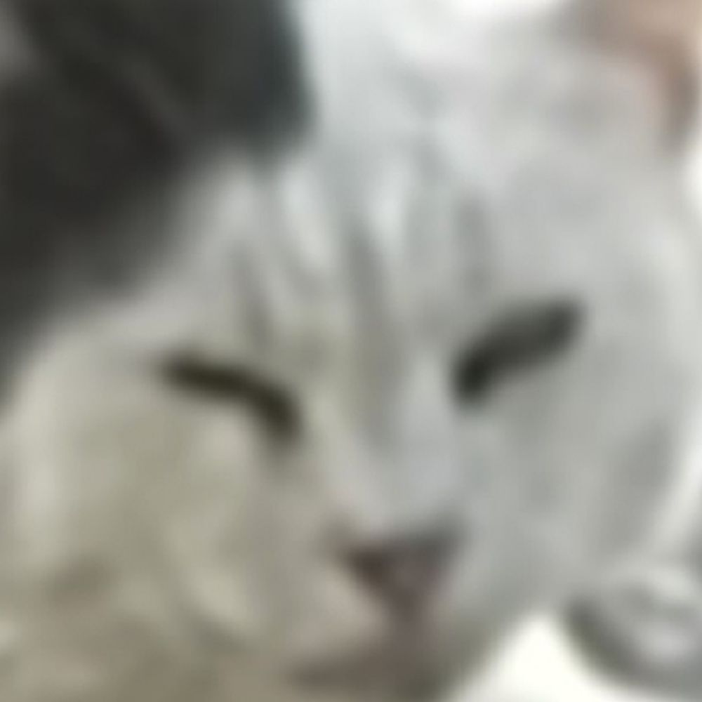zacknsky
