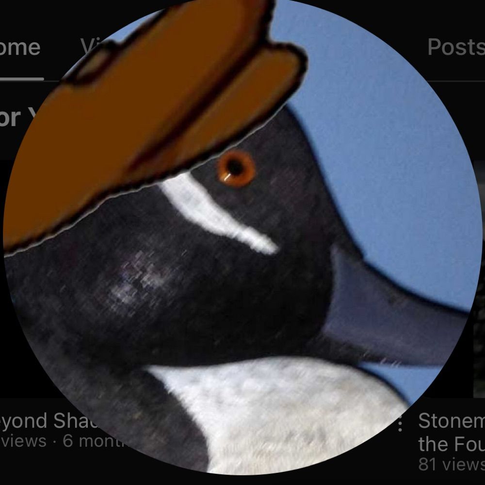 User avatar