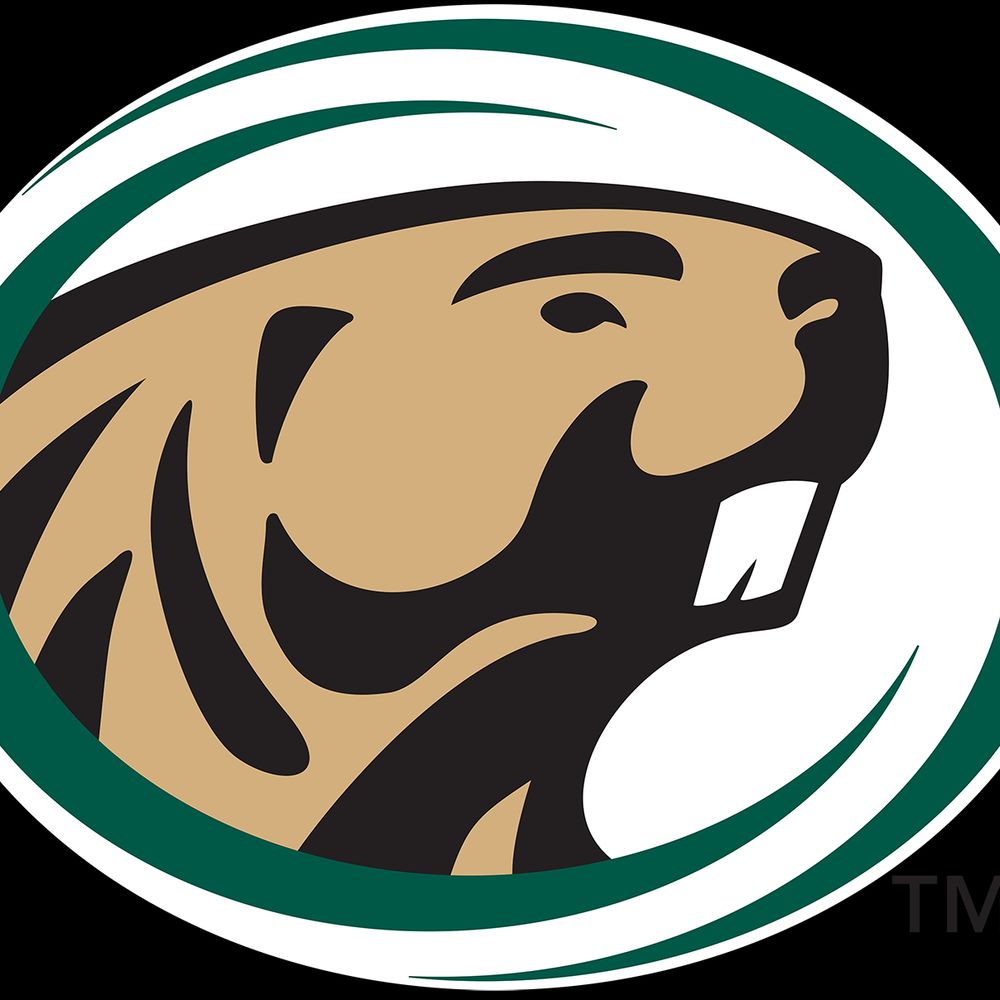 Bemidji State Beavers