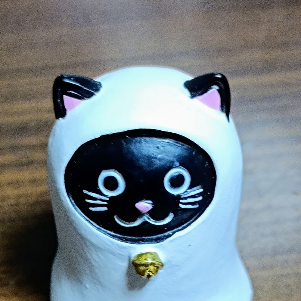ねこたか