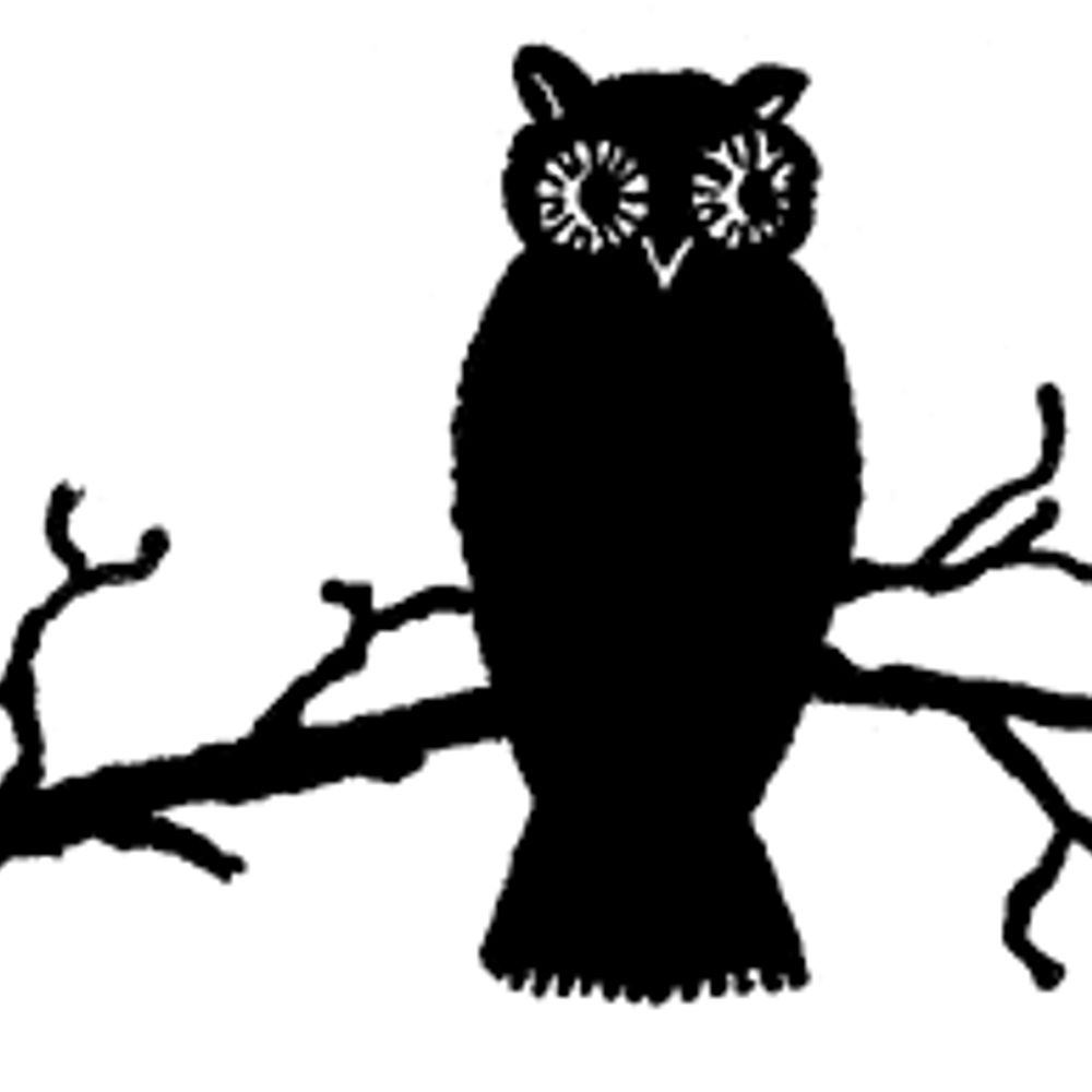 Old Grey Owl