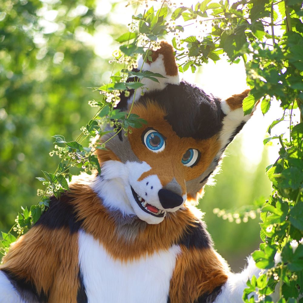 FluffyTekkie🦊🐺
