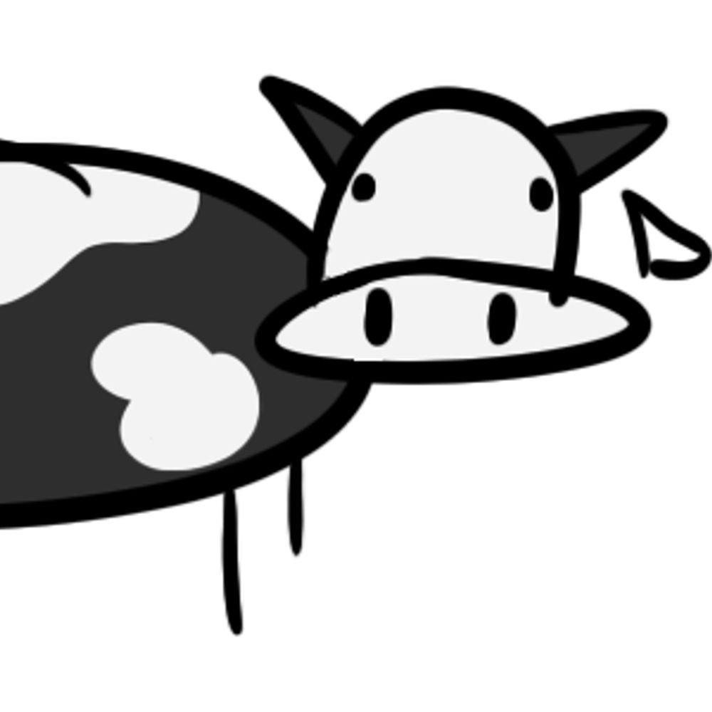 cow in a studio