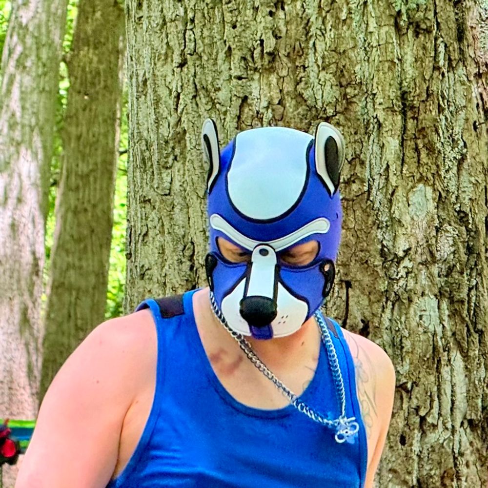 Pup Kismet