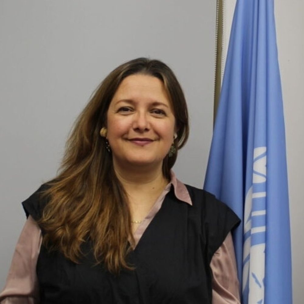 Special Rapporteur FoAA