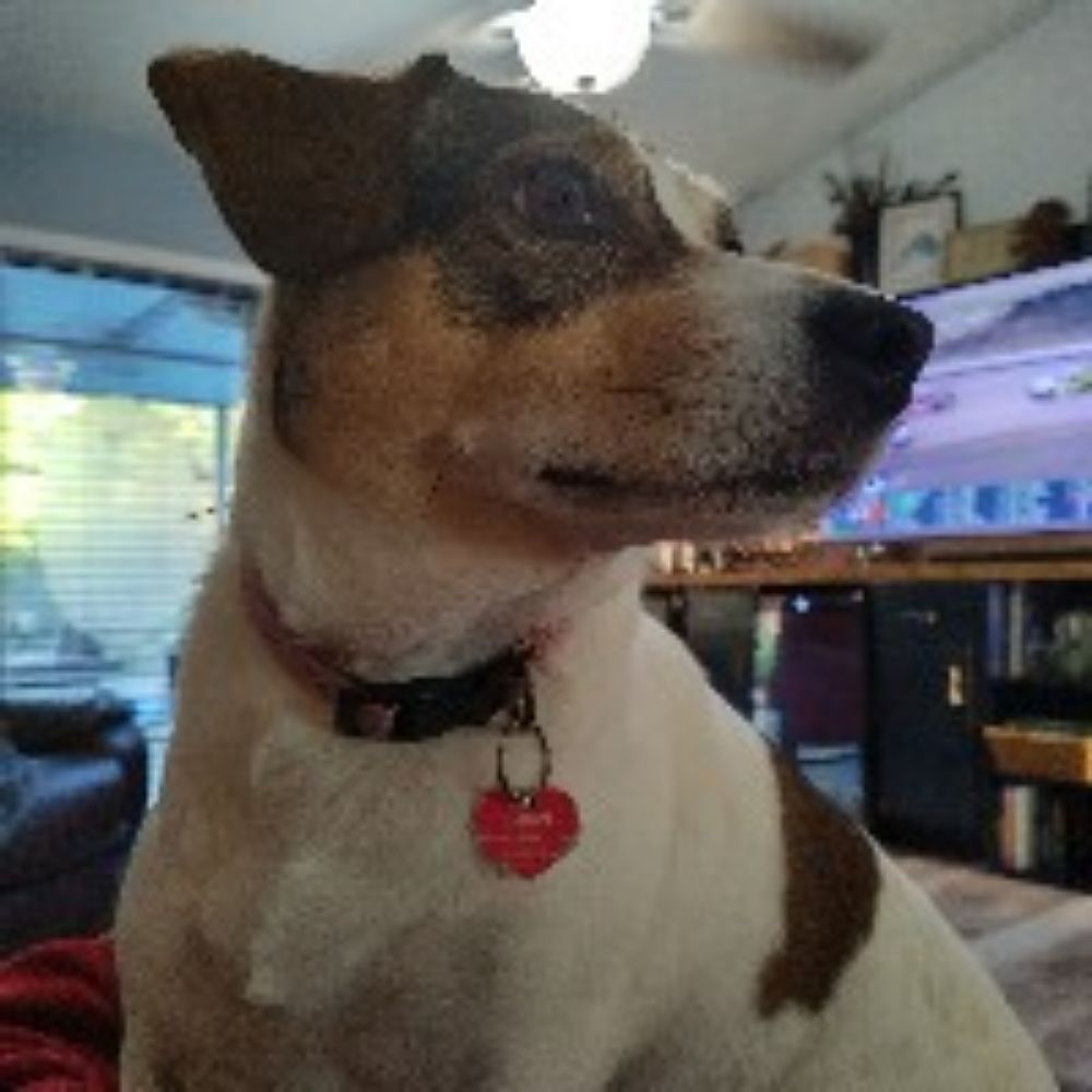 wicked-senses.bsky.social profile picture