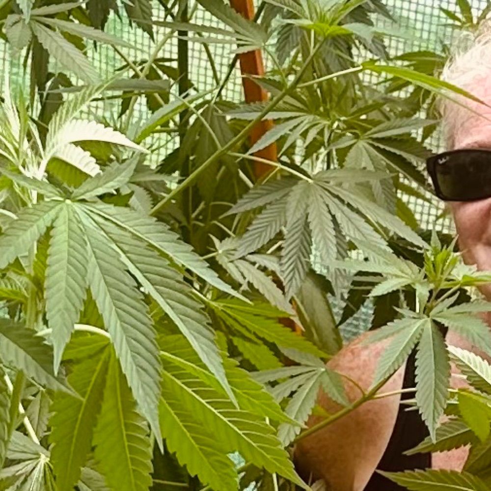  Kush Kuddler