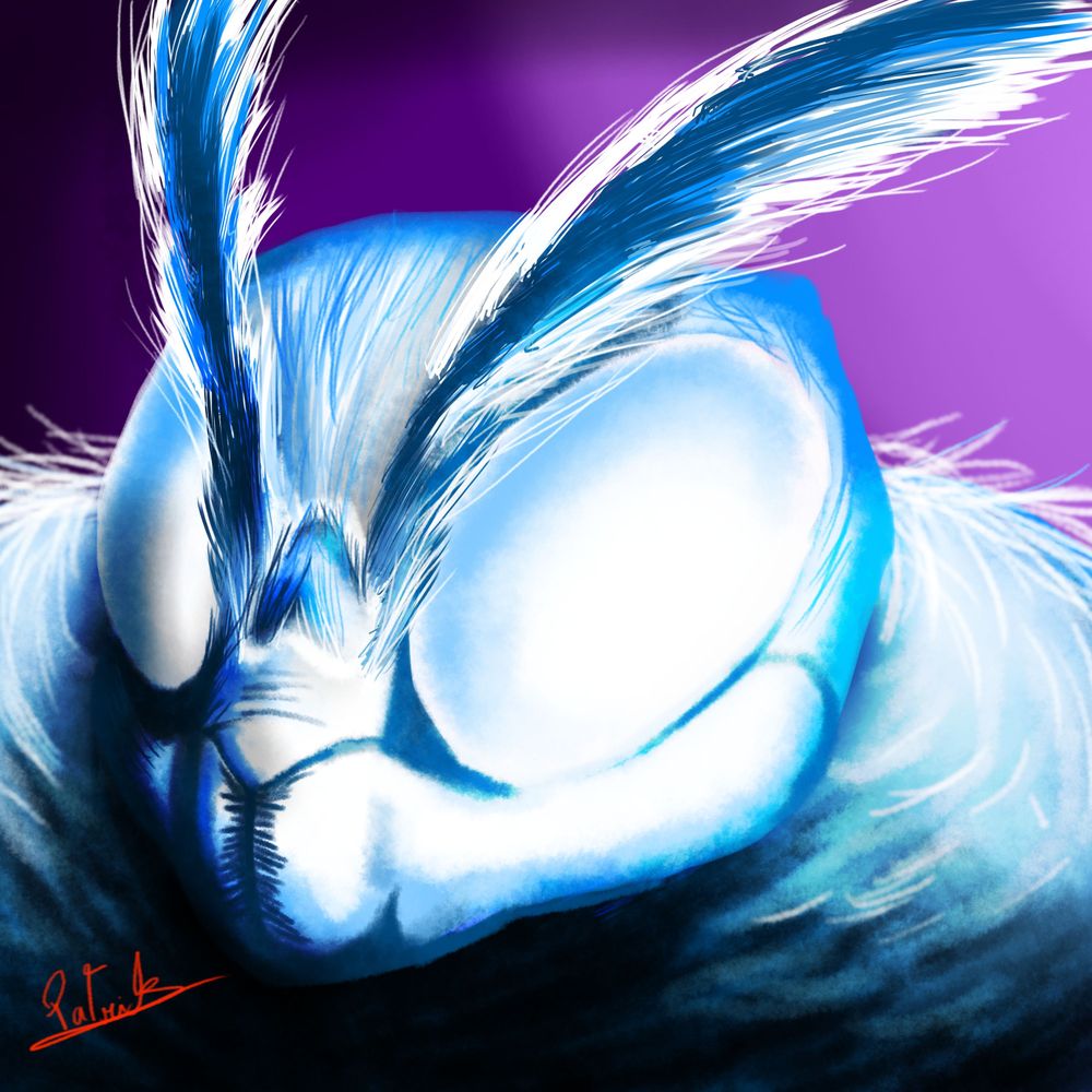Spirit🦋M0th (COMISSIONS CLOSED)