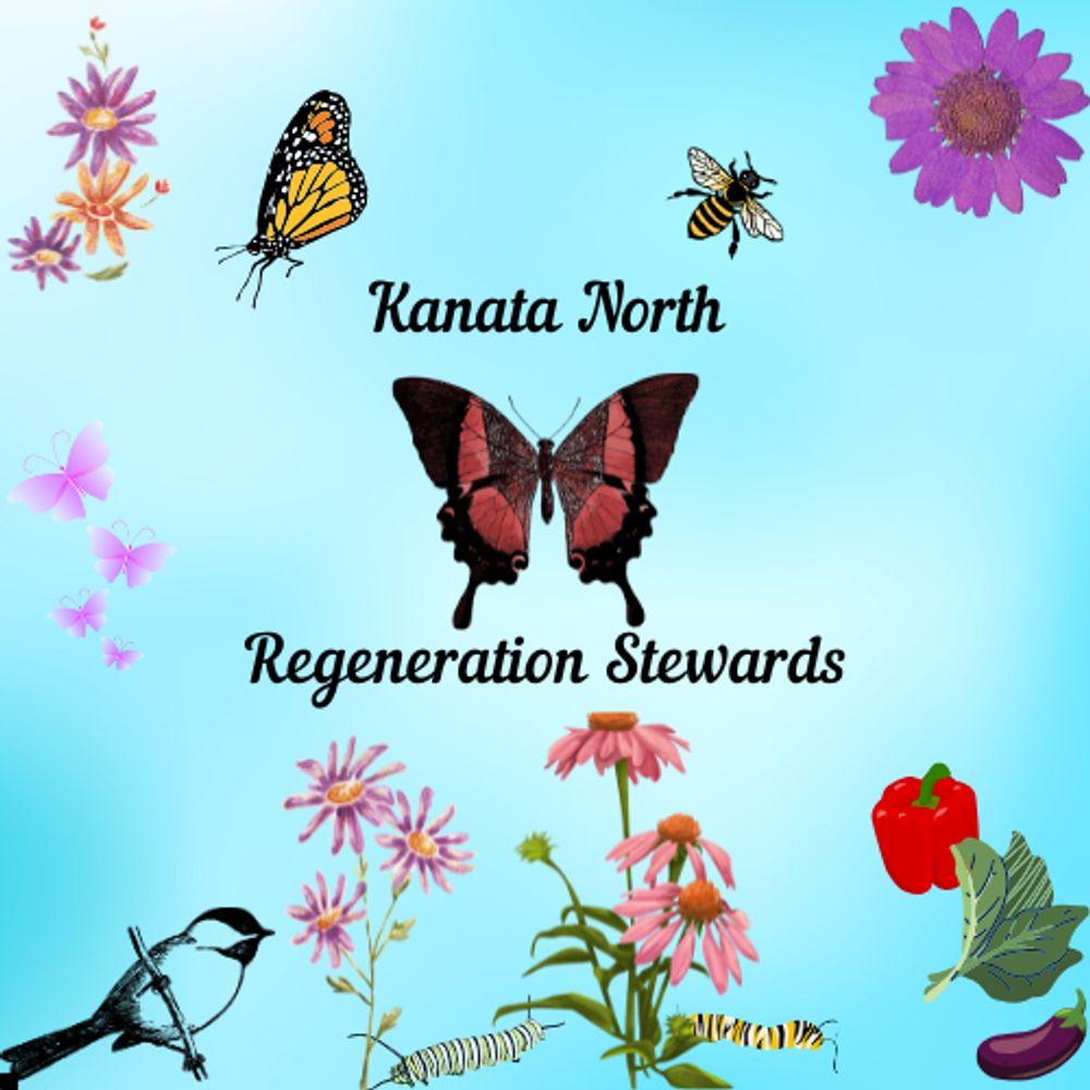 Kanata North Regeneration Stewards