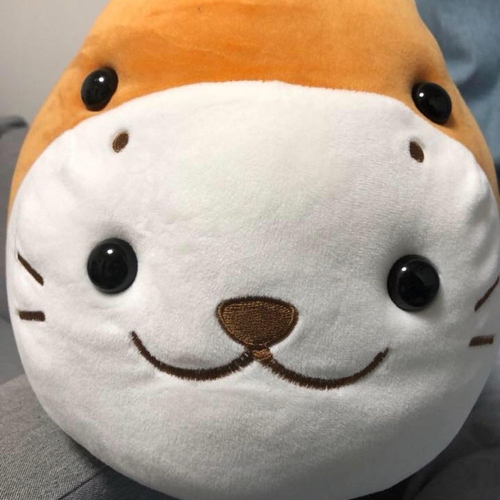 しろちゃん