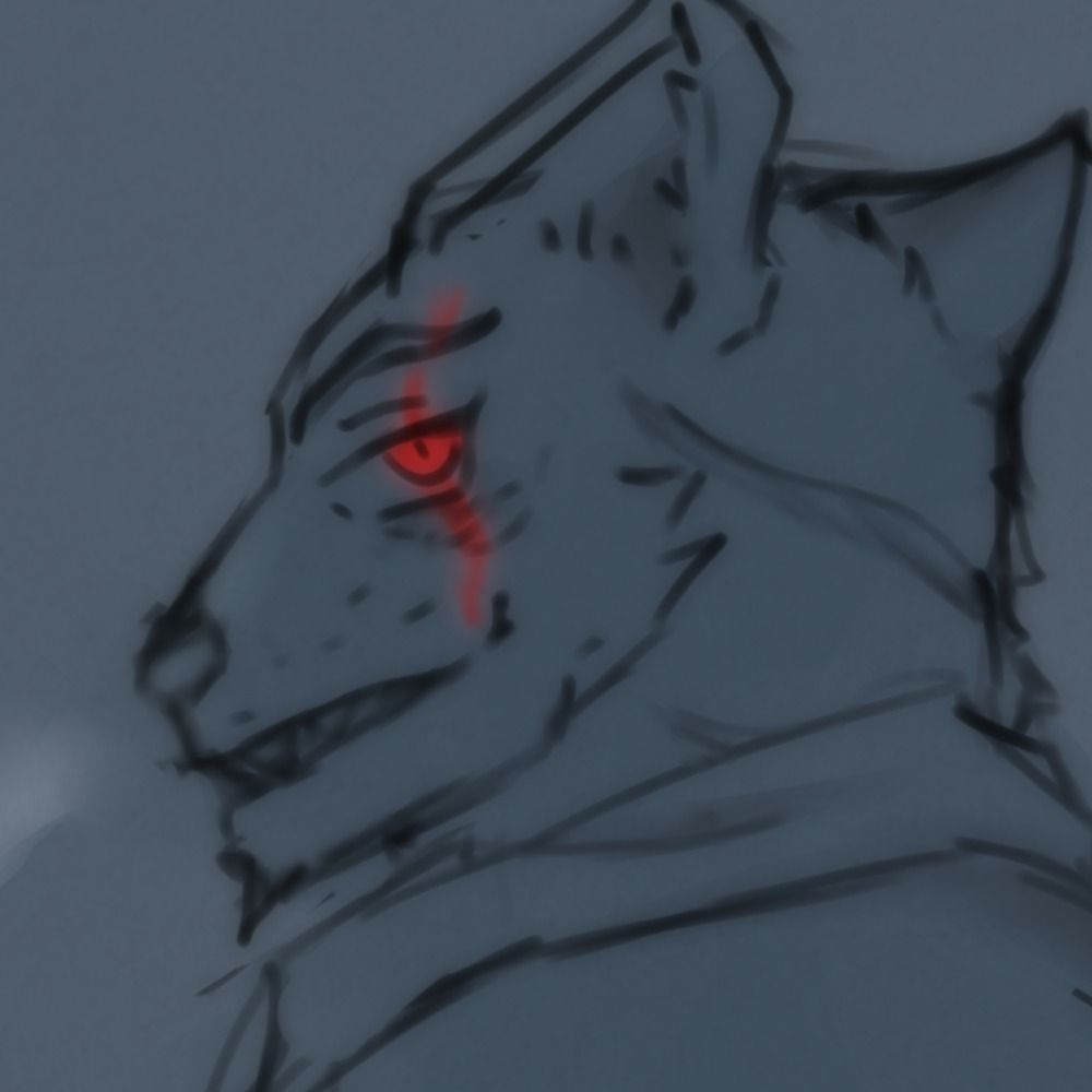 Duskdyr
