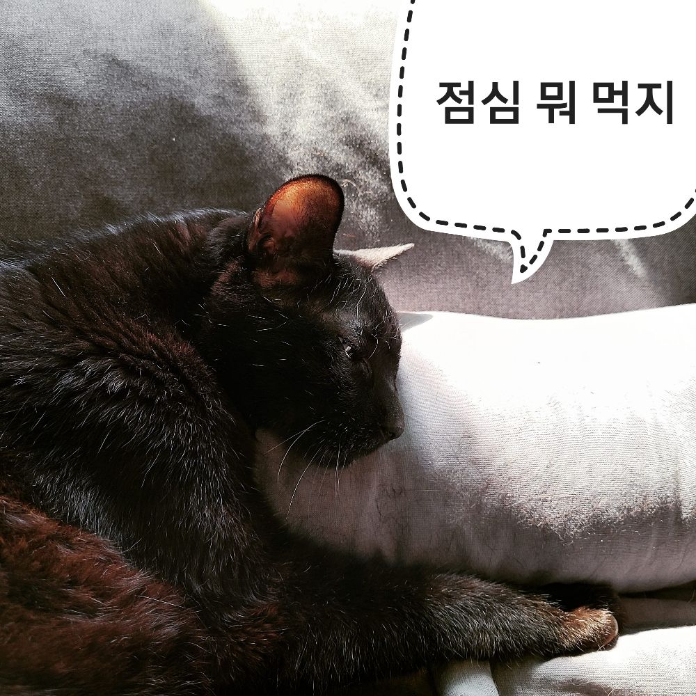 사는게힘들다-계속 투쟁!