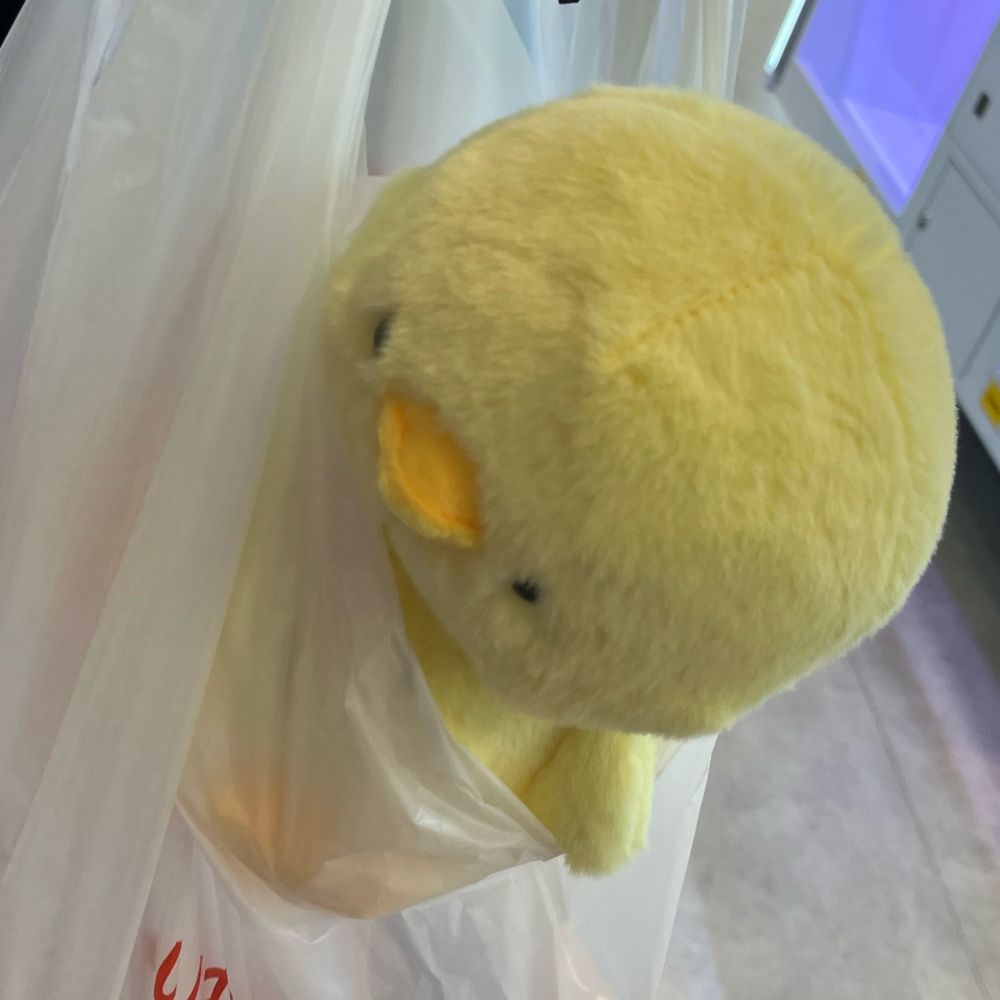 よりみ