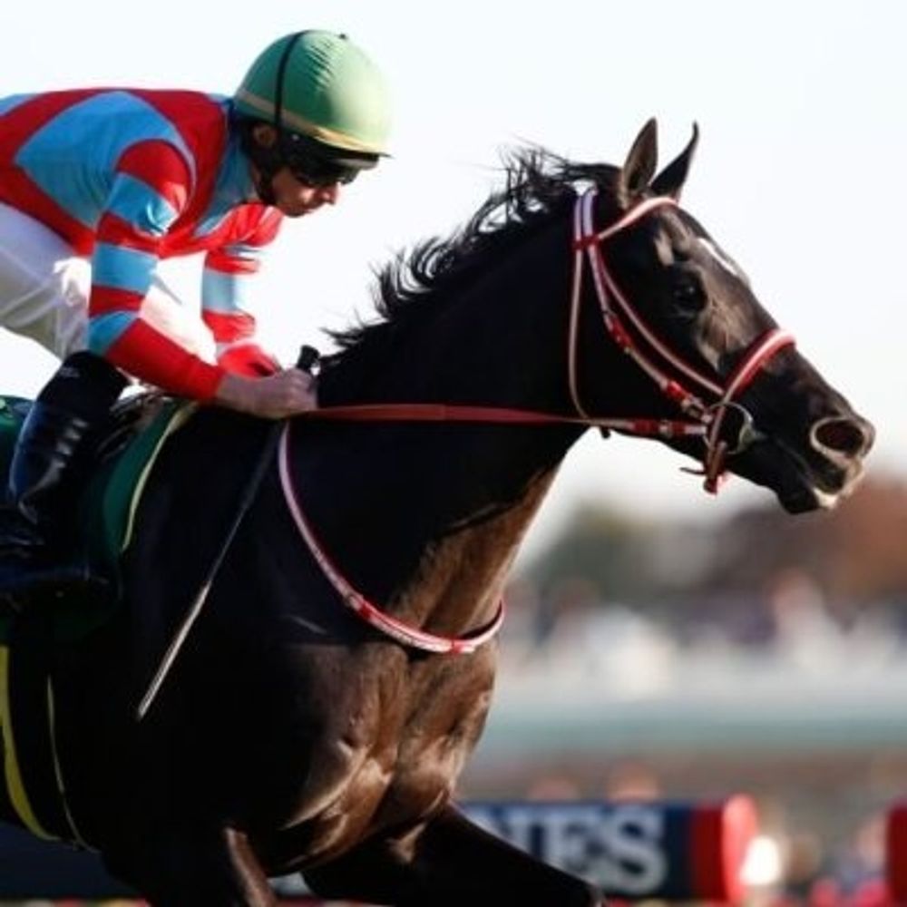 鐵野勝鬨