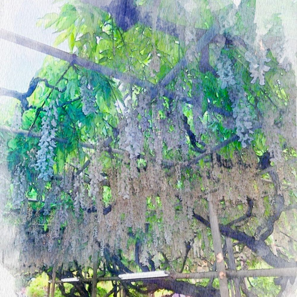 剣藤音