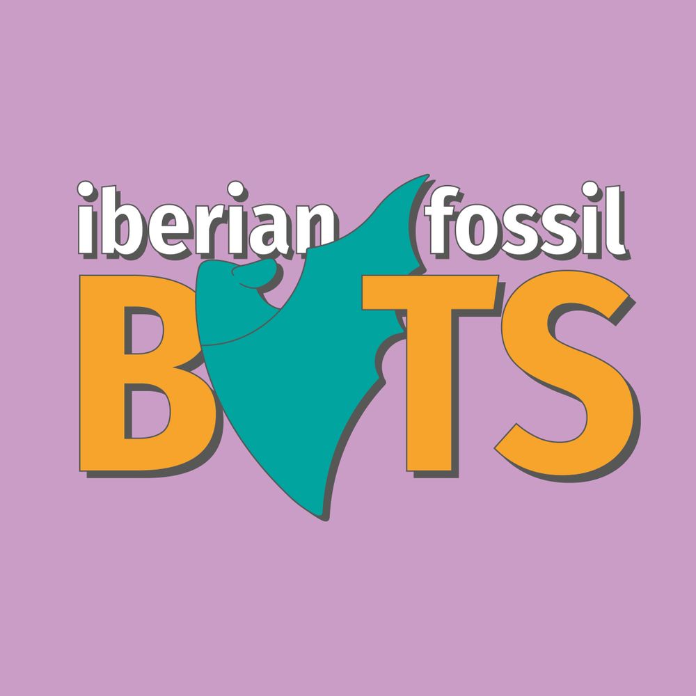 Iberian Fossil Bats