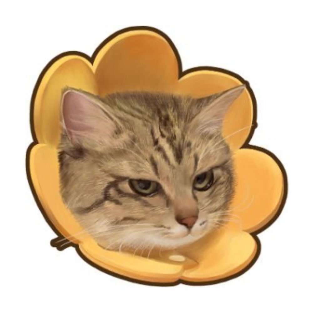 タダーヲ