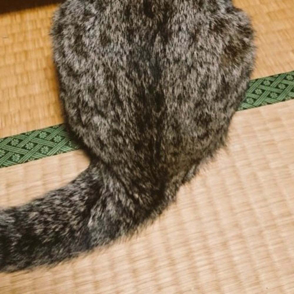 いちり