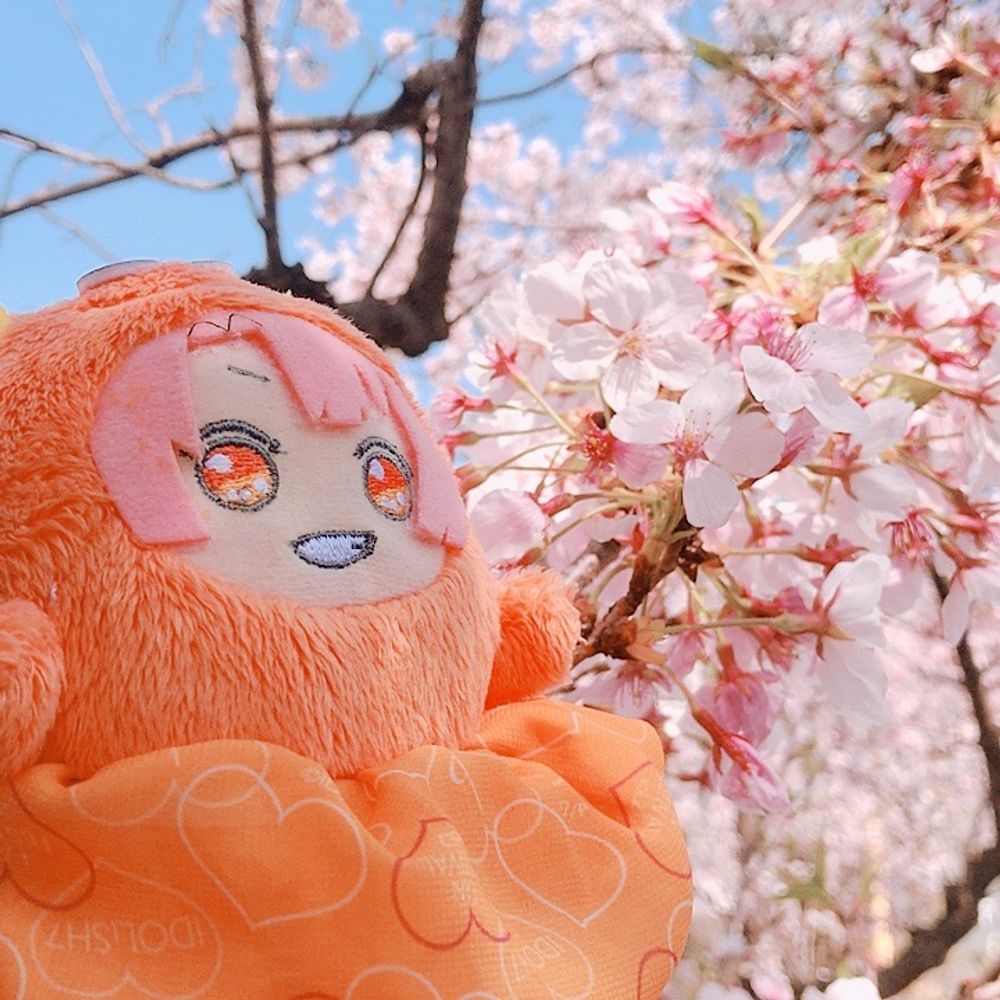 鮭。