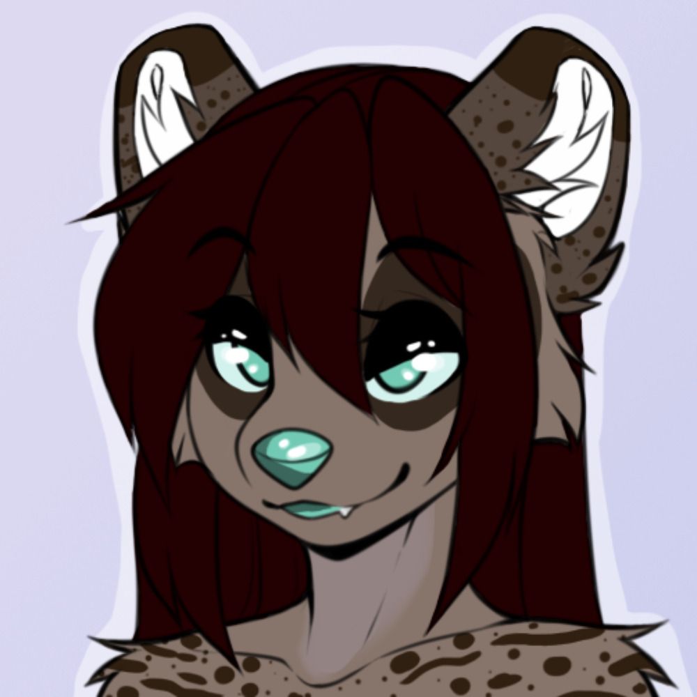 Vyvy