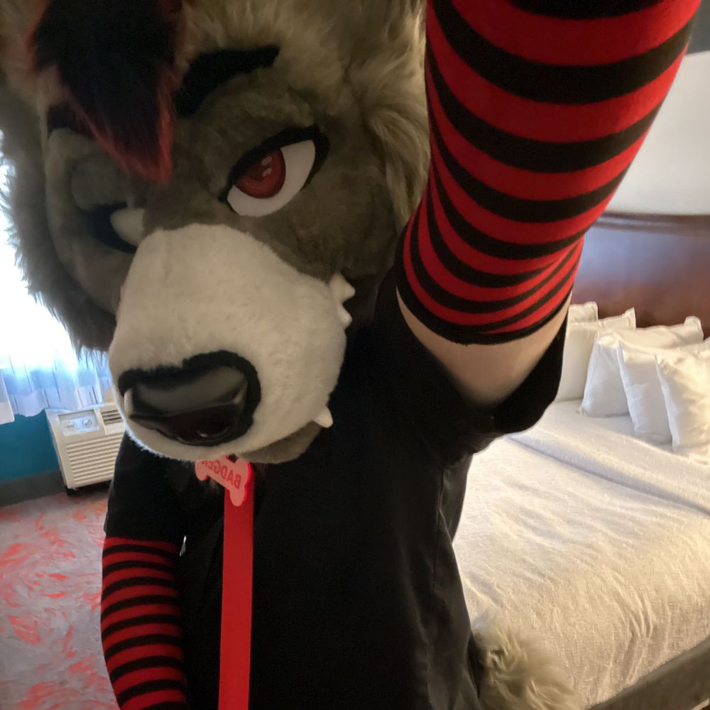 Badger <3