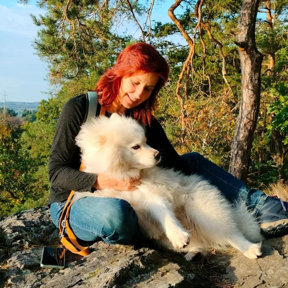 Pipi
