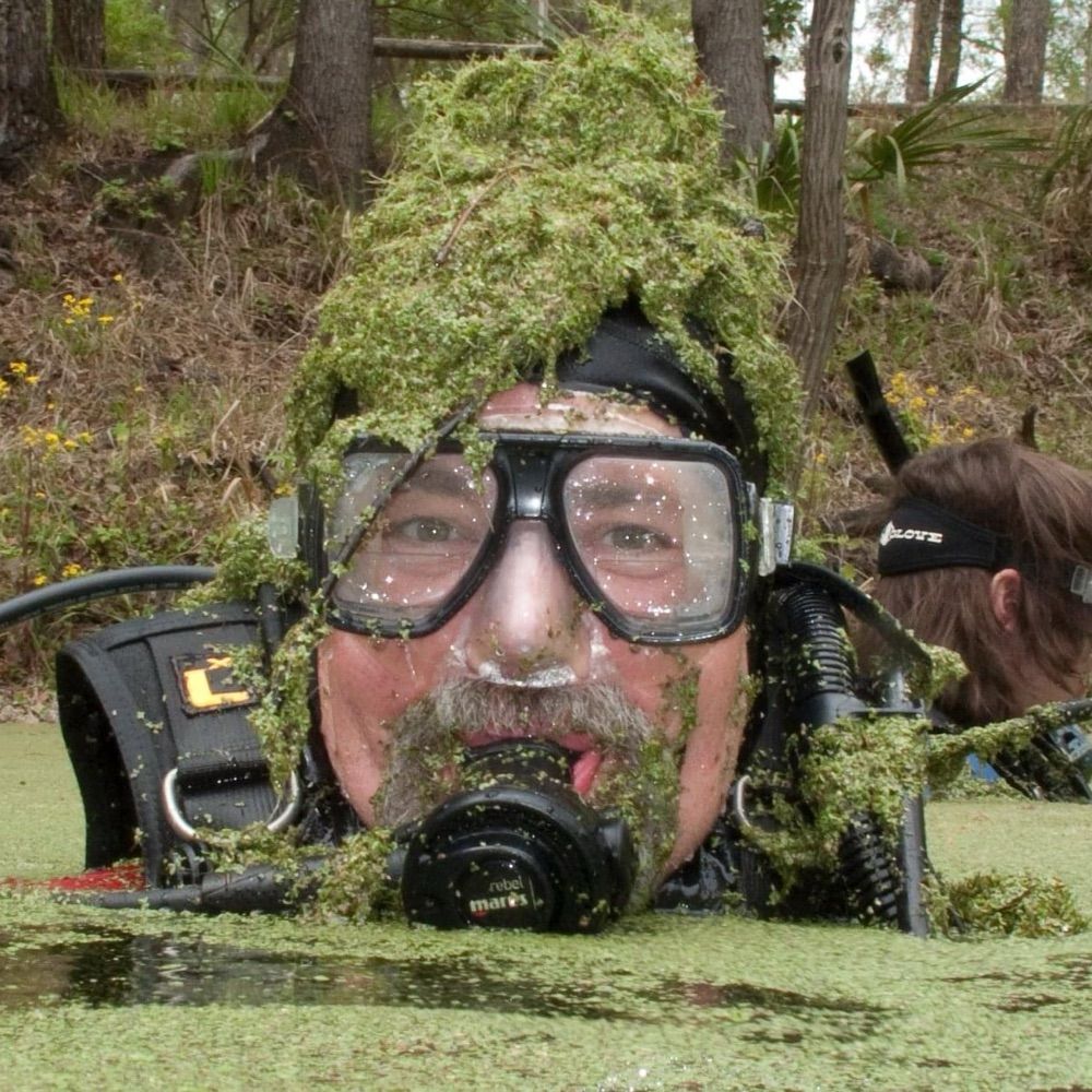 Lefebeaver